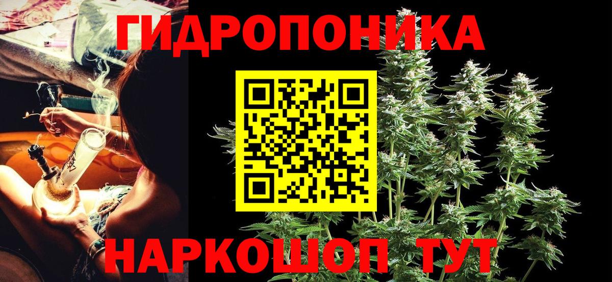 Канабис планчик  Шишки марихуана конопля  Бошки марихуана конопля  Егорьевск  Бошки марихуана конопля  Вход с VPN 